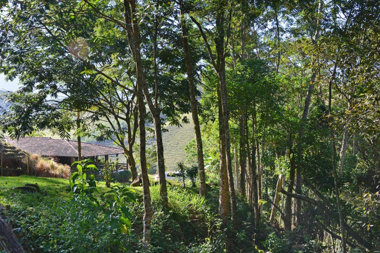 Pousada Verbicaro ซานตา มาเรีย มาดาเลนา ภายนอก รูปภาพ